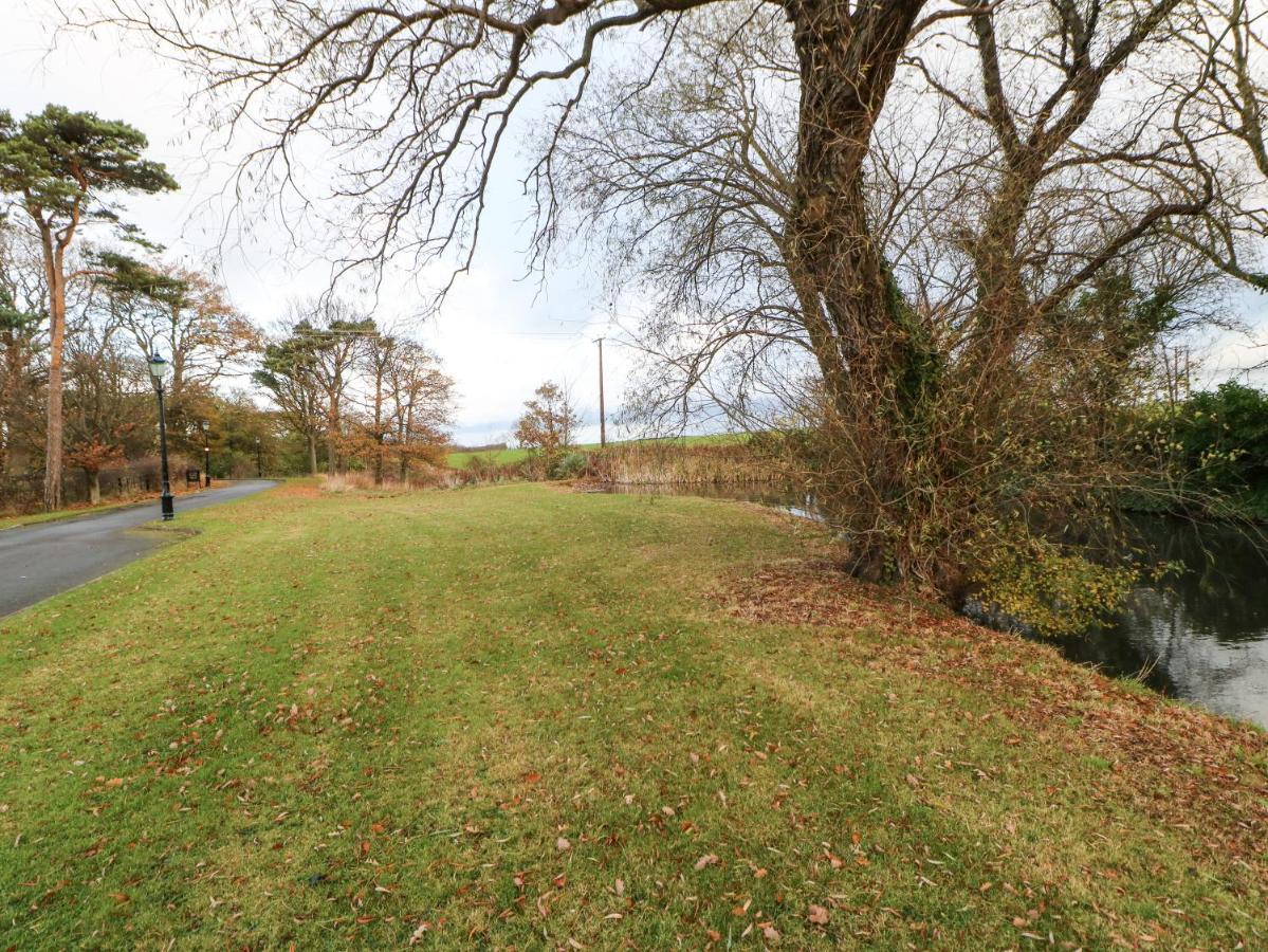 Primrose Lodge Saltburn-by-the-Sea Exterior photo